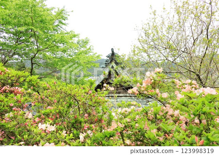青梅市愛宕神社的杜鵑花 青梅市愛宕神社的杜鵑花 123998319