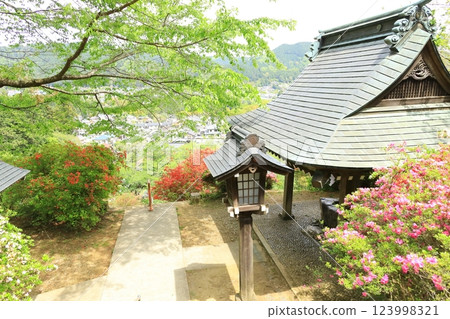 青梅市愛宕神社的杜鵑花 青梅市愛宕神社的杜鵑花 123998321
