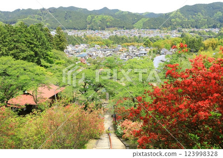 青梅市愛宕神社的杜鵑花 123998328