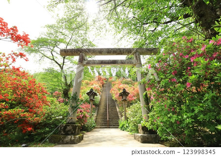 Azaleas at Atago Shrine in Ome City 123998345