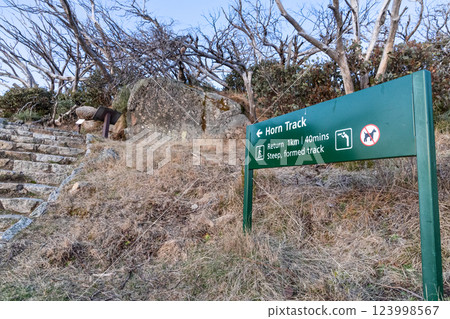 Directional path to Horn Track with scenic view and peak of Mount Buffalo National park, Victoria Australia 123998567