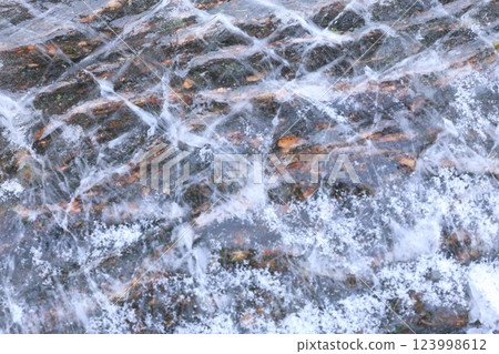 Frozen tree Frozen tree 123998612