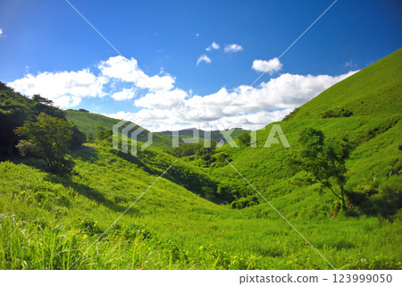 Chugoku region, Akiyoshidai, Akiyoshidai Karst Road, north view, Miya City, Yamaguchi Prefecture (1) Chugoku region, Akiyoshidai, Akiyoshidai Karst Road, north view, Miya City, Yamaguchi Prefecture (1) 123999050