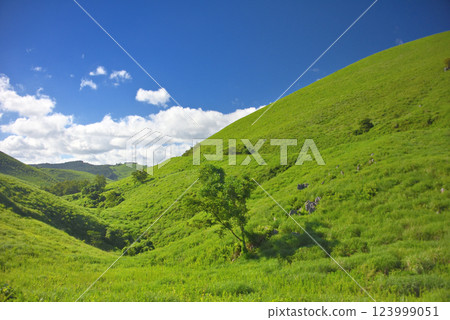 Chugoku region, Akiyoshidai, Akiyoshidai Karst Road, north view, Miya City, Yamaguchi Prefecture (2) 123999051