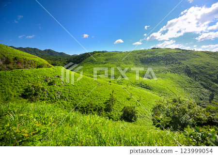 Akiyoshidai Karst Road, Chugoku region, view from the parking lot with the Kaeri Mizu sign, Miya City, Yamaguchi Prefecture (2) 123999054