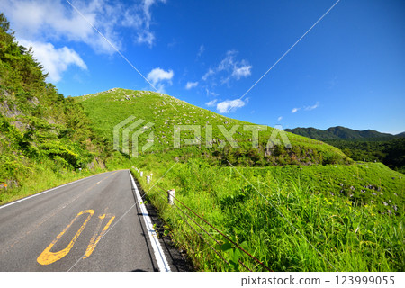 Akiyoshidai Karst Road, Chugoku region, view from the parking lot with the Kaeri Mizu sign, Miya City, Yamaguchi Prefecture (3) 123999055