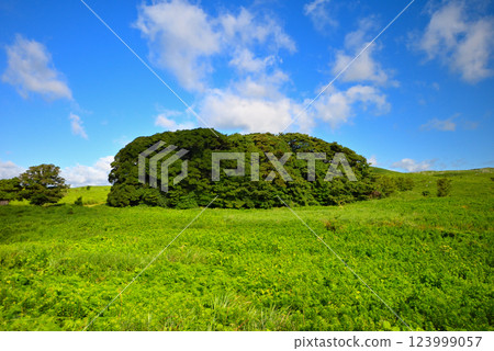 Chugoku region, Akiyoshidai, Chojagamori forest seen from Akiyoshidai Karst Road, Miya City, Yamaguchi Prefecture (1) Chugoku region, Akiyoshidai, Chojagamori forest seen from Akiyoshidai Karst Road, Miya City, Yamaguchi Prefecture (1) 123999057