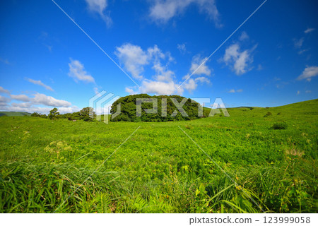從山口縣宮市秋吉台喀斯特道路望去的中國地方秋吉台、長者森林（2） 123999058