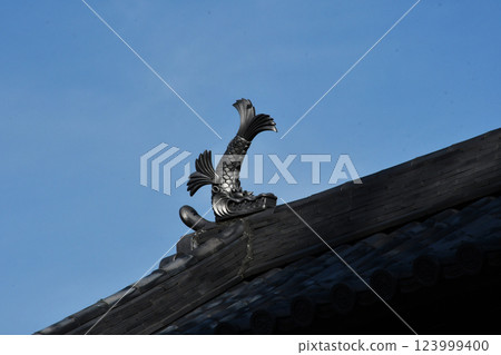 Takasaki Castle's Shachi 123999400