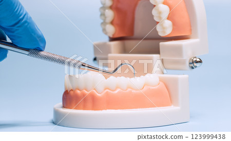 Dental model with scaler tool for teeth cleaning demonstration 123999438