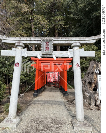 Tokiwa Inari Shrine 123999794