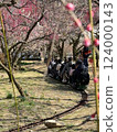 Mini steam locomotive in the plum grove of Ogose 124000143