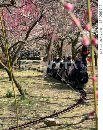 Mini steam locomotive in the plum grove of Ogose 124000143
