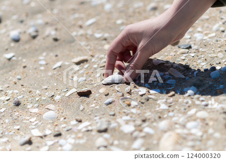 People collecting seashells on the beach 124000320