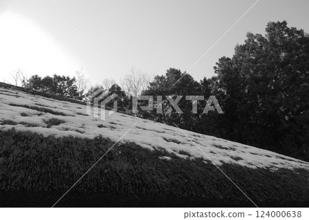 Snow on a thatched roof 5 124000638