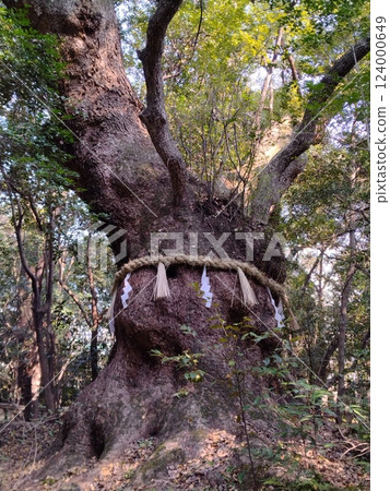 冬天的熱田神宮 124000649