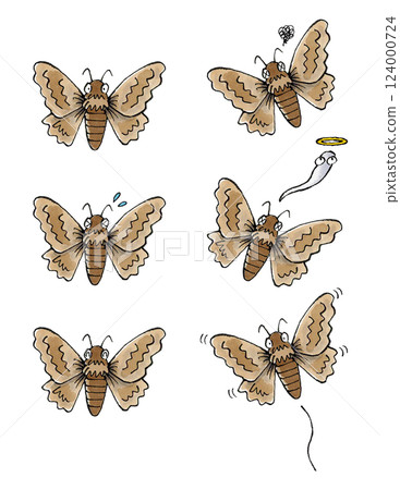 蛾套 蛾套 124000724