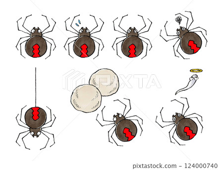 Redback spider set 124000740
