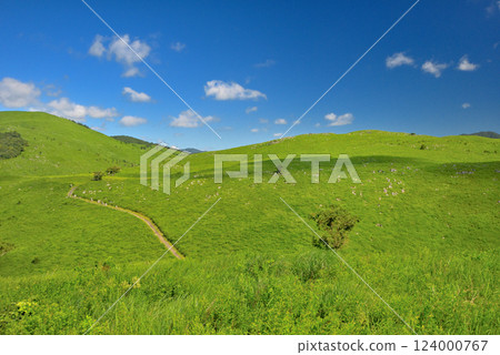 Akiyoshidai Observatory Garden in the Chugoku region, Miya City, Yamaguchi Prefecture (5) 124000767
