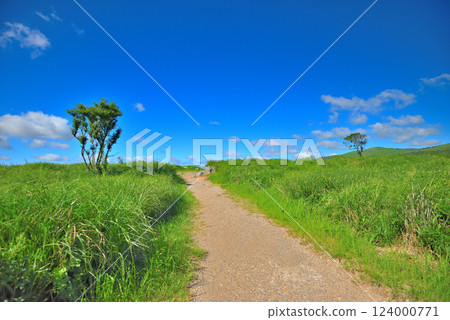 Akiyoshidai Observatory Garden in the Chugoku region, Akiyoshidai, a grassland landscape that can be easily encountered on a walk, Miya City, Yamaguchi Prefecture (9) 124000771