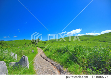 Akiyoshidai Observatory Garden in the Chugoku region, Akiyoshidai, a grassland landscape that can be easily encountered on a walk, Miya City, Yamaguchi Prefecture (11) 124000773