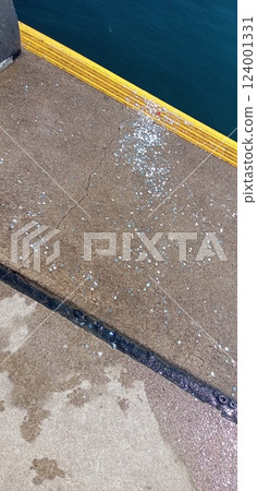 沒洗過的魚鱗 沒洗過的魚鱗 124001331