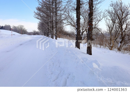 <北海道>冬季的莫埃來沼公園：單色的世界 124001363