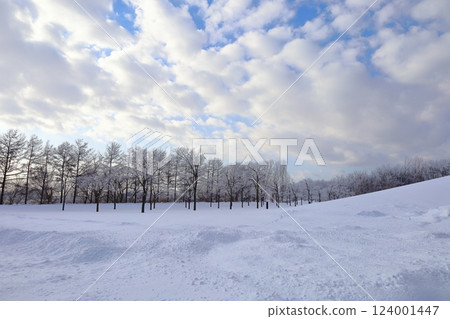 <Hokkaido> Moerenuma Park in winter: A monochrome world 124001447