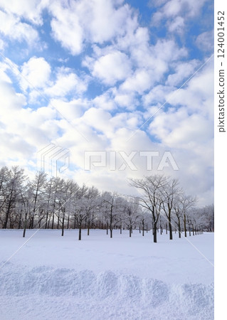 <北海道>冬季的莫埃來沼公園：單色的世界 124001452