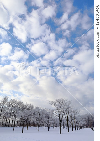 <北海道>冬季的莫埃來沼公園:單色的世界 <北海道>冬季的莫埃來沼公園:單色的世界 124001456