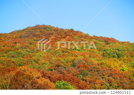 彩色嶺風景 13 彩色嶺風景 13 124001511