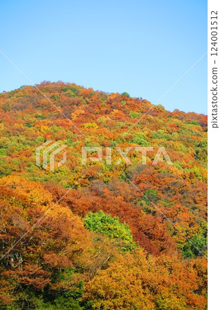 彩色嶺風景 12 彩色嶺風景 12 124001512