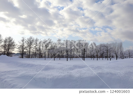 <北海道>冬季的莫埃來沼公園:單色的世界 <北海道>冬季的莫埃來沼公園:單色的世界 124001603