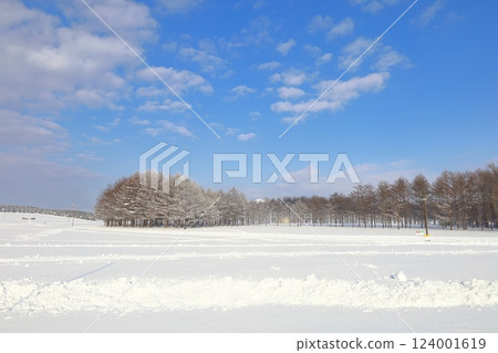 <北海道>冬季的莫埃來沼公園：單色的世界 124001619