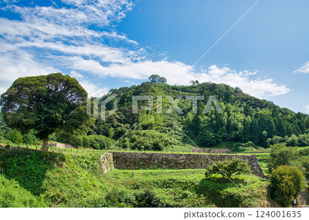 Tsukiyama Tomita城堡遺址 Tsukiyama Tomita城堡遺址 124001635