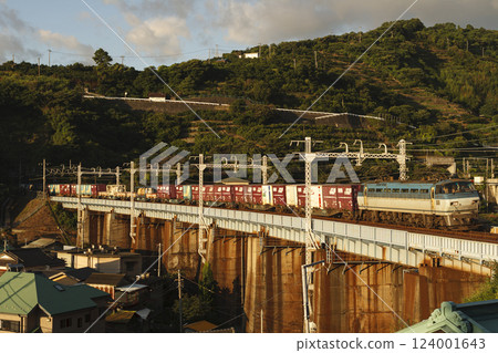 EF66-100 freight train 124001643