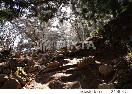 神奈川縣伊勢原市大山阿夫利神社通往大山的秋季路線 124001674