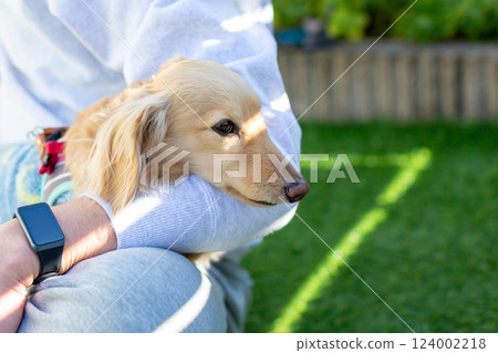 成年 Kaninchen 臘腸犬在花園玩耍 124002218