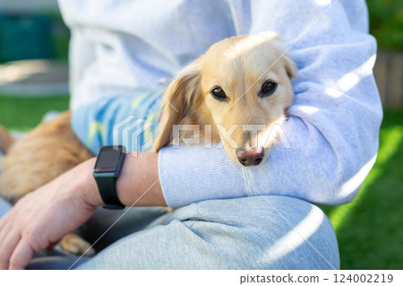 成年 Kaninchen 臘腸犬在花園玩耍 成年 Kaninchen 臘腸犬在花園玩耍 124002219