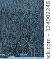 Winter Hakusan City Traffic lights and forest 124002248