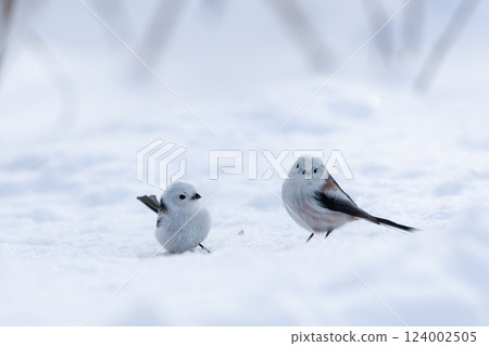 Shimaenaga 124002505