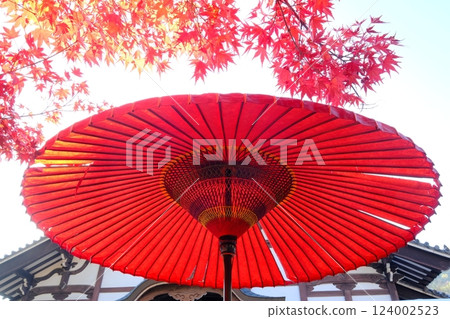 藍天下的秋葉和日本遮陽傘 藍天下的秋葉和日本遮陽傘 124002523
