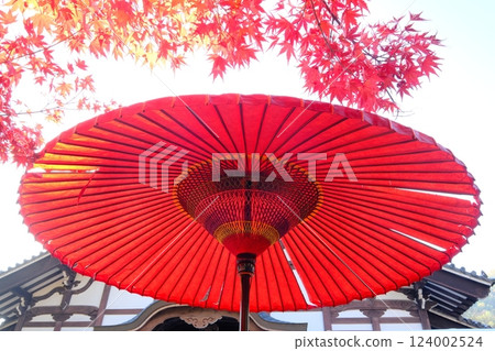 藍天下的秋葉和日本遮陽傘 124002524