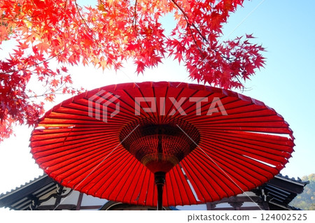 Autumn leaves and Japanese umbrellas against the blue sky Autumn leaves and Japanese umbrellas against the blue sky 124002525