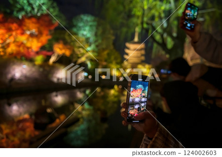 Tourist poeple photo autumn Toji temple garden light up, Kyoto Tourist poeple photo autumn Toji temple garden light up, Kyoto 124002603