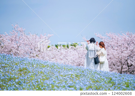 lgbtq couple at sakura and Nemophila slope, Uminonakamichi , Fukuoka lgbtq couple at sakura and Nemophila slope, Uminonakamichi , Fukuoka 124002608