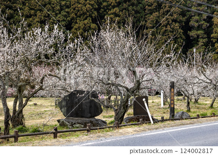 Hitachi City, Ibaraki Prefecture Suwa Umebayashi 124002817