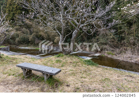 Hitachi City, Ibaraki Prefecture Suwa Umebayashi 124002845
