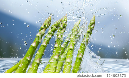 Healthy Green Asparagus with Water Droplets 124002873