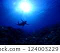 Blue sea and diver 124003229